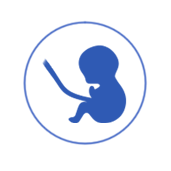 CONSULTA PRENATAL